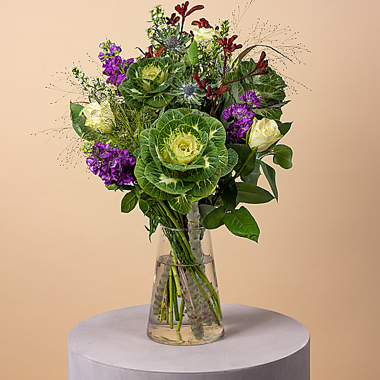 Brassica fall cheap flower delivery uk