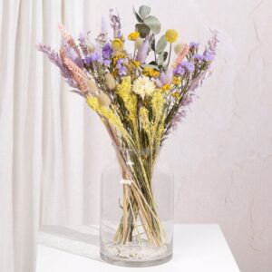 Enchanted Fields Dried Flowers